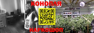 МДПВ Новокубанск