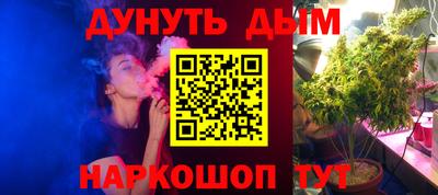 ешки Новодвинск