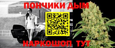 ешки Новодвинск