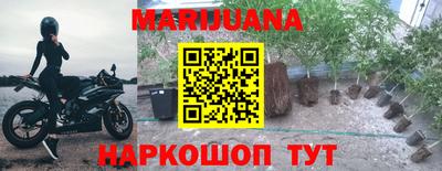 ешки Новодвинск