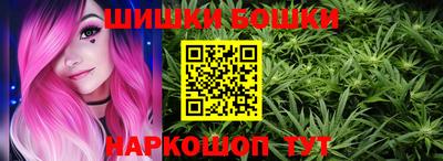 ешки Новодвинск