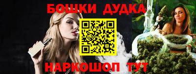 ешки Новодвинск
