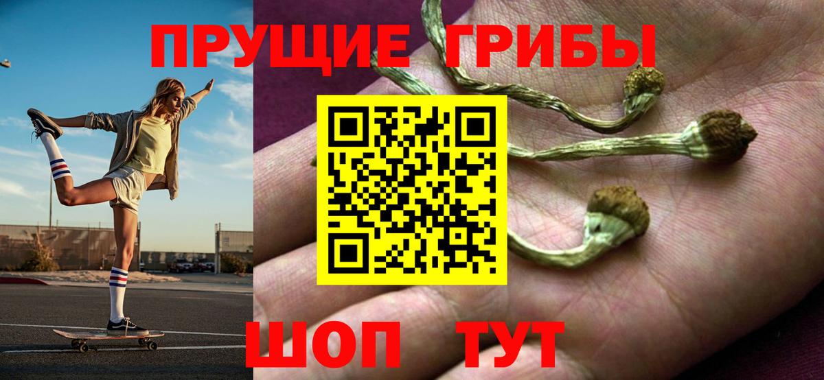 Псилоцибиновые грибы MAGIC MUSHROOMS Тимашёвск