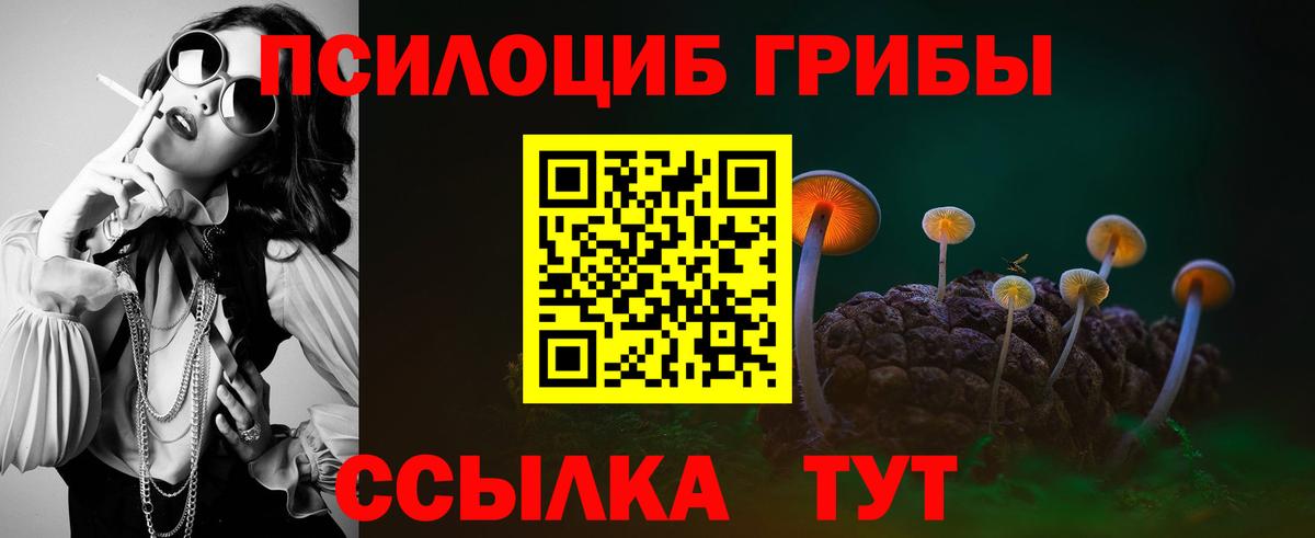 Тимашёвск  Галлюциногенные грибы мицелий  Вход с VPN 